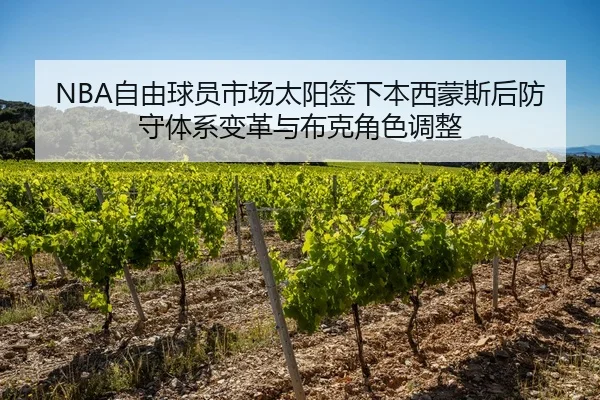 zi-you-qiu-yuan-shi-chang-tai-yang-qian-xia-ben-xi-meng-si-hou-fang-shou-ti-xi-bian-ge-yu-bu-ke-jue-se-tiao-zheng-2-669.jpg